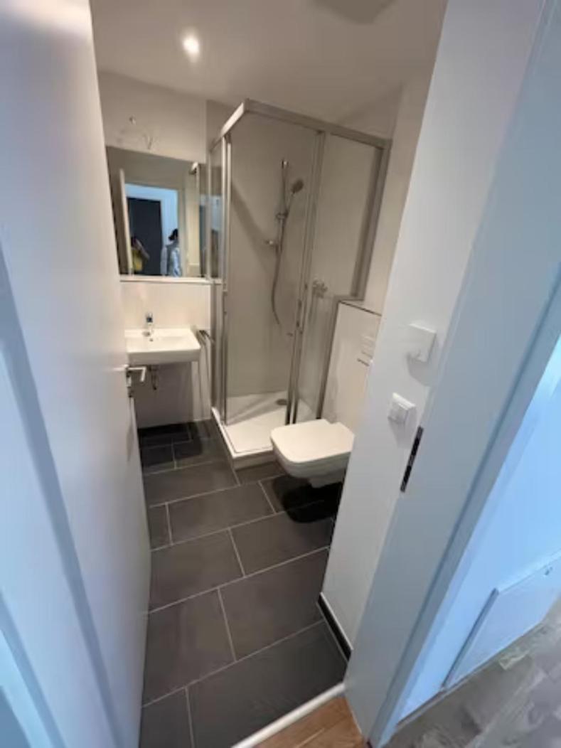New Business Apartment Nr.21 Дрезден Екстериор снимка